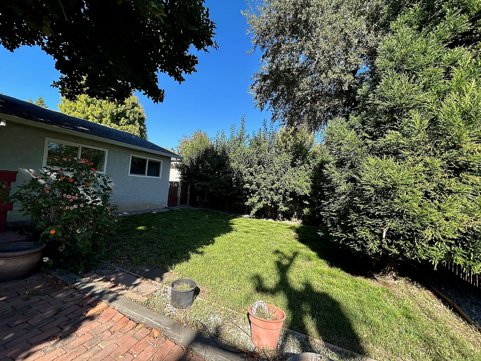 3 bed, 1131 sqft, $2,000 — Photo 3