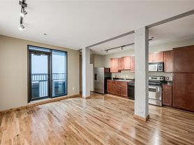 Kirby Lofts Condo Houston