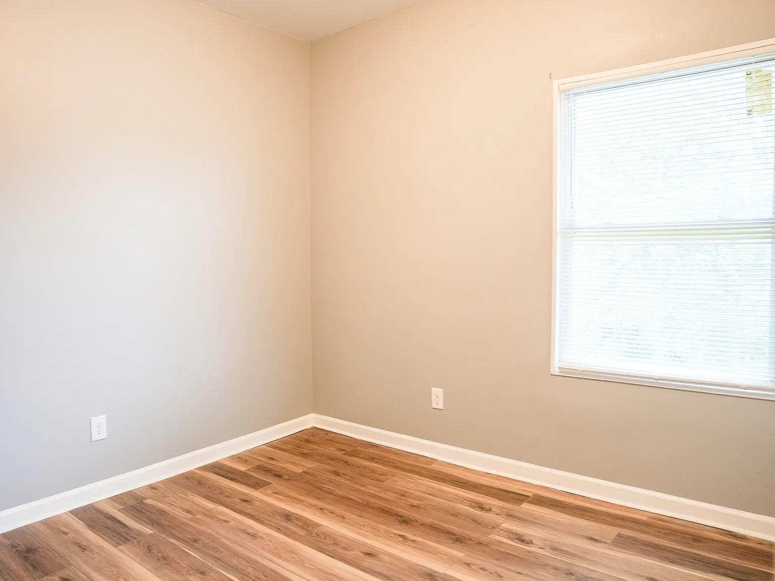 3 bed, 1.0 bath, $1,450 — Photo 4