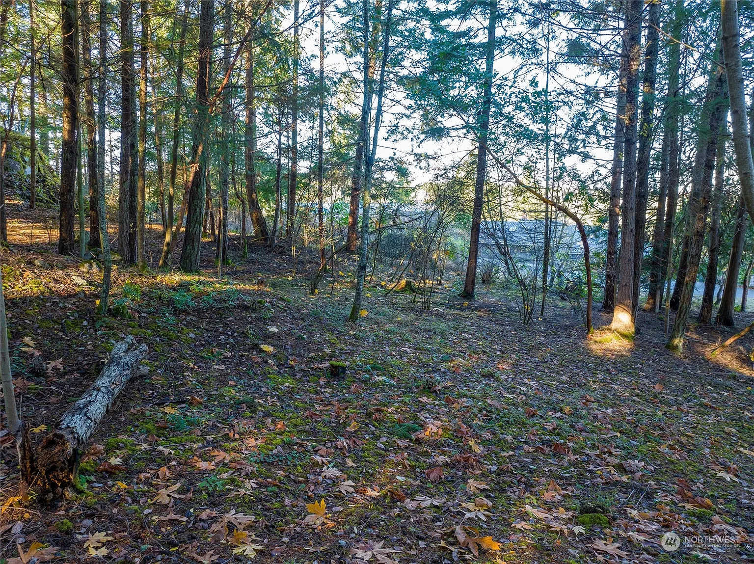 579 Klamath Drive photo 1