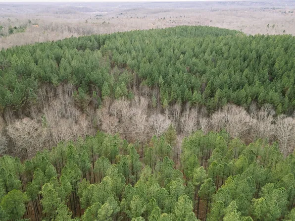 0 Pineview Rd, Linden, TN 37096