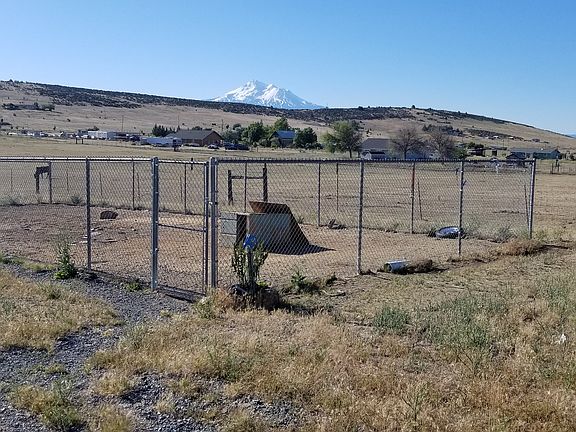 Dog kennel & view of Shasta