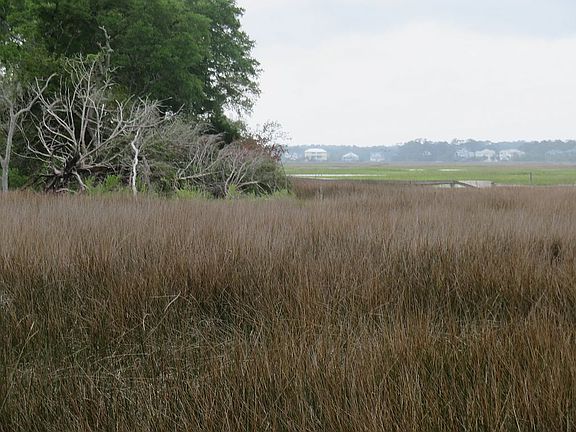 marsh view