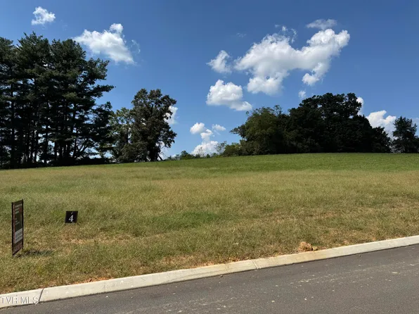317 Olde Thompson Ct, Johnson City, TN 37615