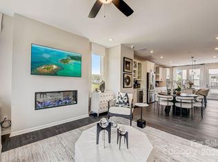 316 Catawba Ave, Davidson, NC 28036