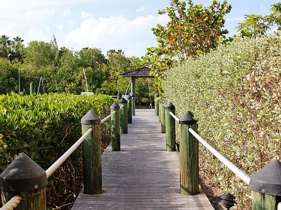 Dock to Marina