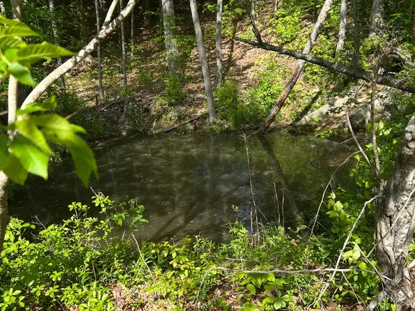 3 Wallace St, Warsaw, VA 22572