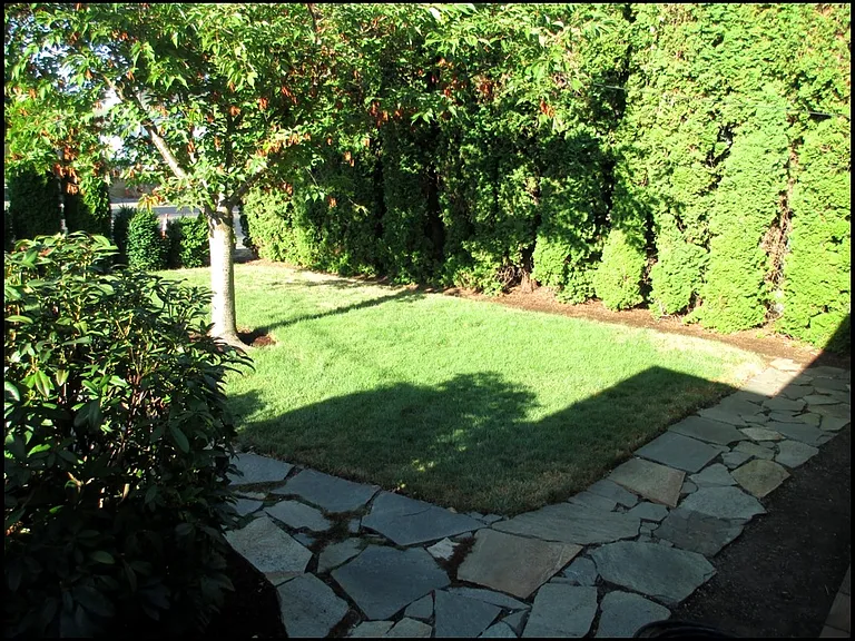 Maxwell Rd — Photo 15