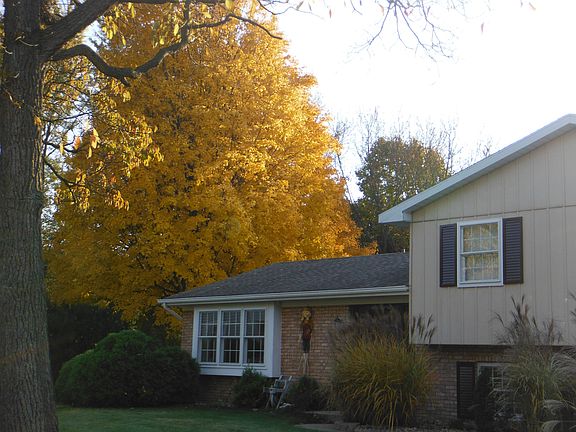 front in fall