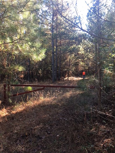 2nd image of Jefferson Davis Rd