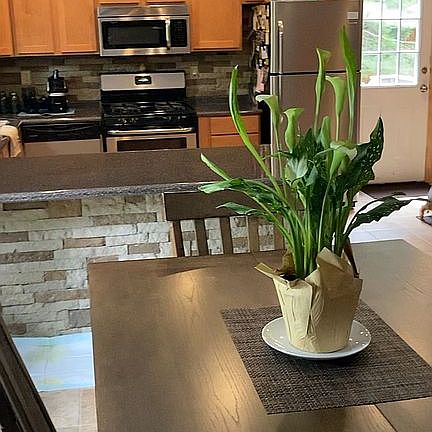 Dining towards kitchen