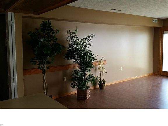 Living Room. Closet, possible pantry, to the left.