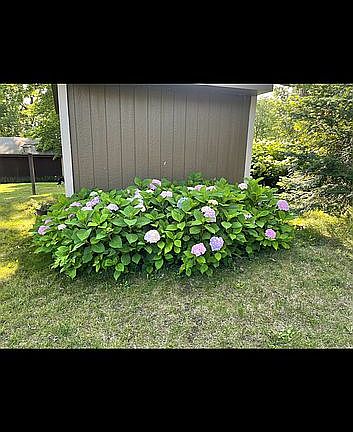 5th image of 159 W Spruce St