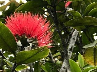 Omeka Rd, Volcano, HI 96785