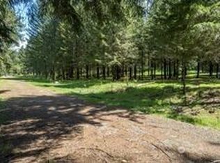 89 Cougar And East, Ariel, WA 98603