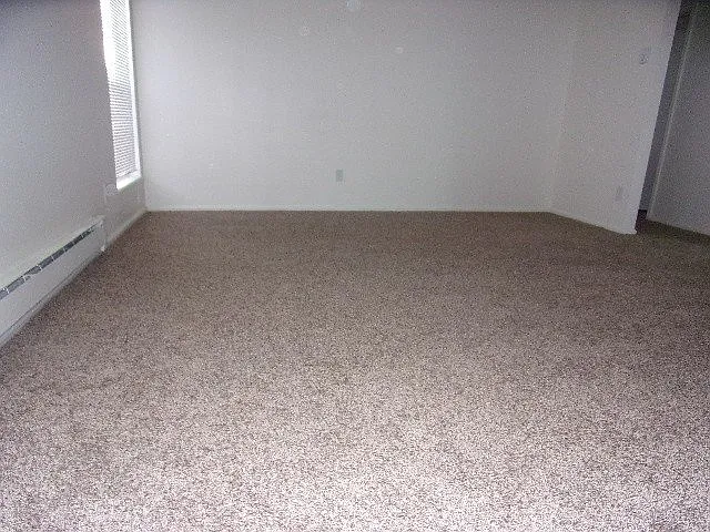 1 bed, 1.0 bath, 800 sqft, $1,250 — Photo 2