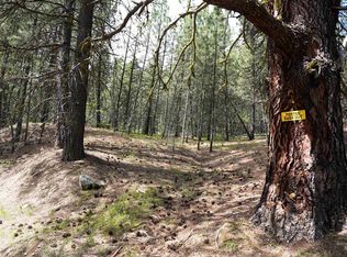 LOT 28 Fire Ridge Rd, Garden Valley, ID 83622