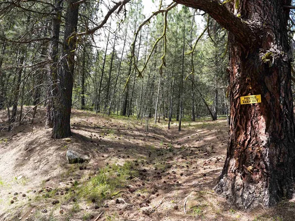 LOT 28 Fire Ridge Rd, Garden Valley, ID 83622