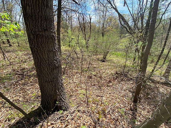 2nd image of 12998 Bowen Lake Dr