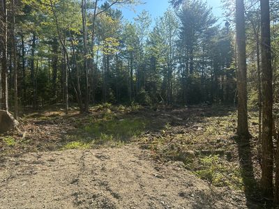 61 Gerards Trail, Blue Hill, ME, 04614