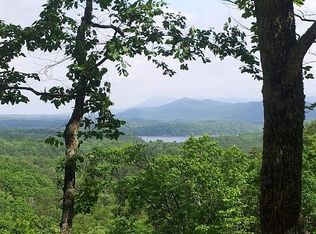 Lot 41 Callie Drive - Carter's Lake Area, Ranger, GA 30734