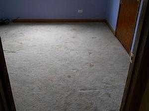 3rd image of 9306 S 78th Ave