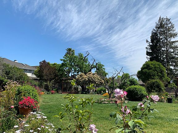 beautiful backyard in spring