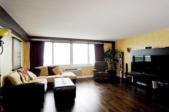 3rd image of 1440 N Lake Shore Dr APT 30D