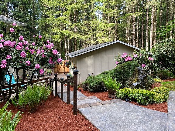View from backyard patio
