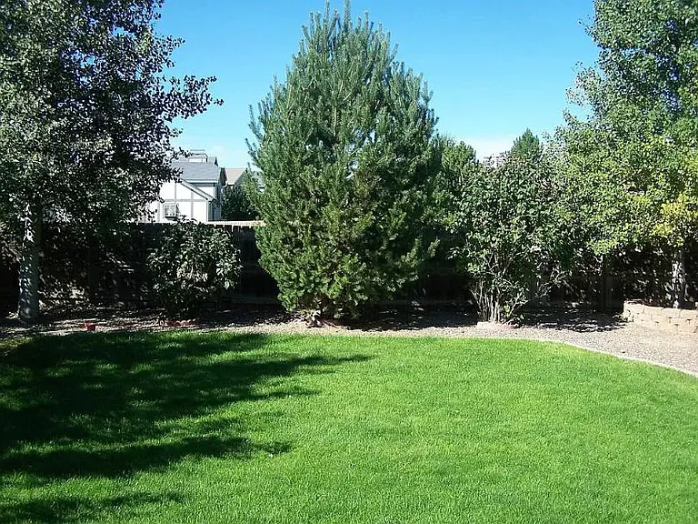 11311 Vernon Way — Photo 3