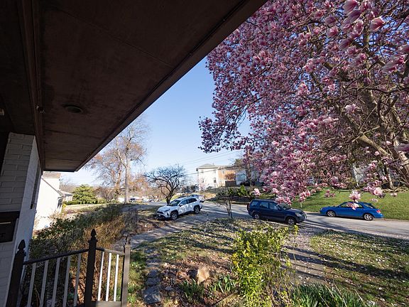 view from front porch