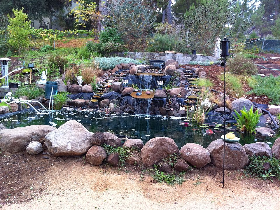 Backyard Pond 17,000 gallons