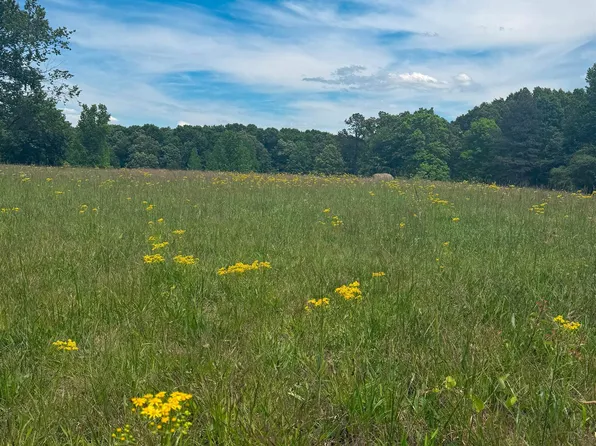 0 County Road 11, Florence, AL 35633
