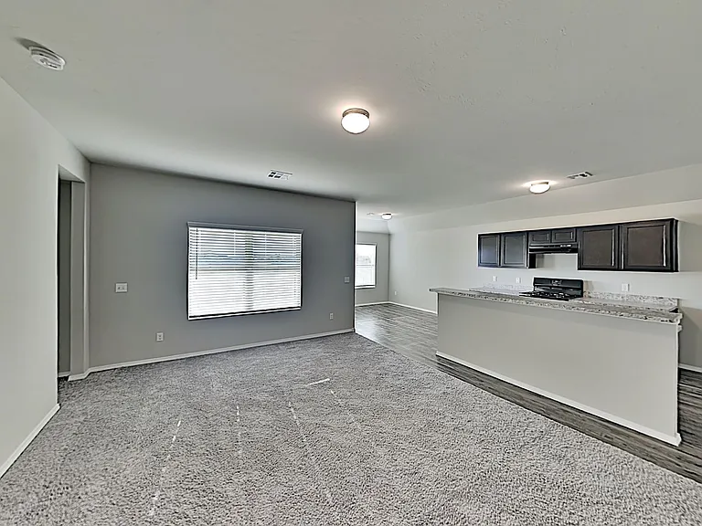 4325 Siena Ridge Blvd — Photo 4