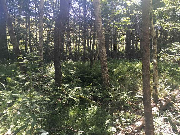 5th image of LOT Maxwellton Rd