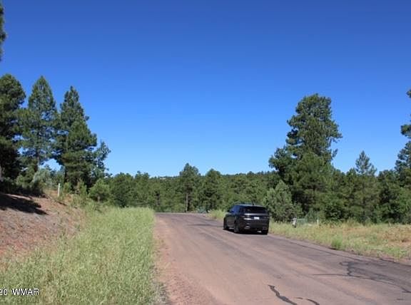 3rd image of 6997 Leo Ln Lot 33