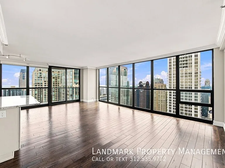 10 E Ontario St #4908 — Photo 29