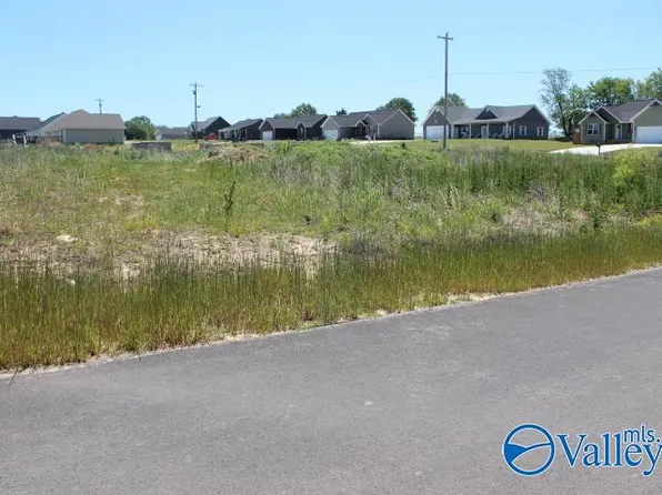 1 Peaceful Dr, Rainsville, AL 35986