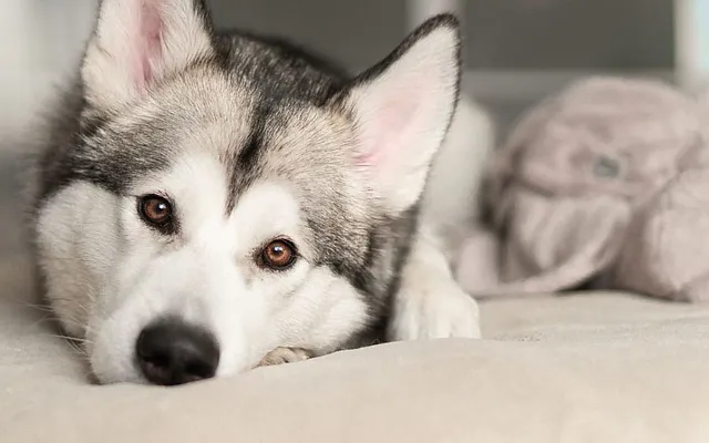 Rented by Blip LLC | media 30