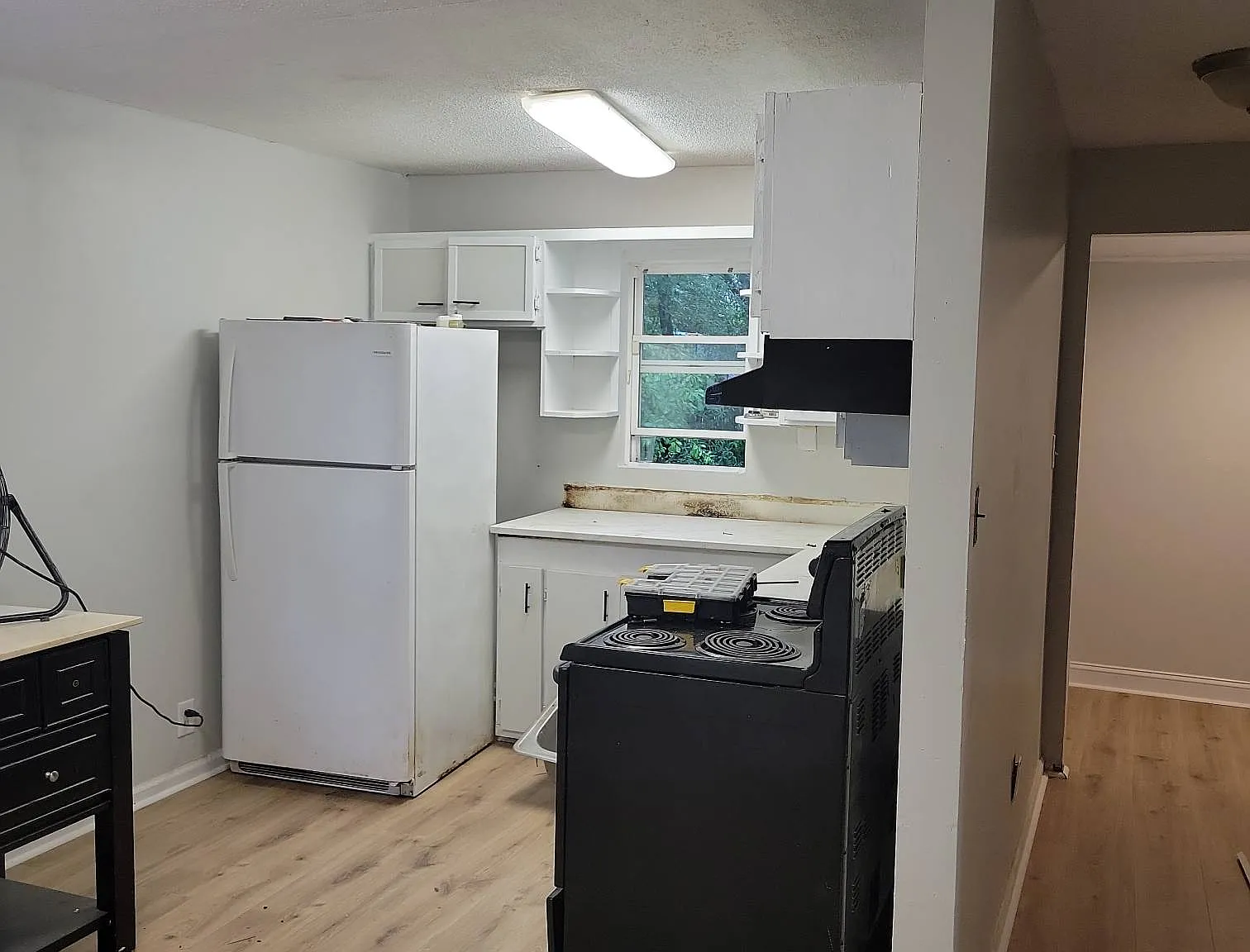 1821 Carlton St - 1 — Photo 2