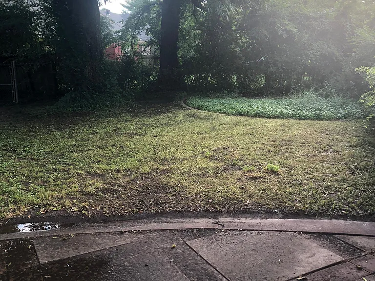Patio and garden