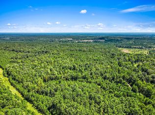 PARCEL 3 Runnels Rd, Hazlehurst, MS 39083