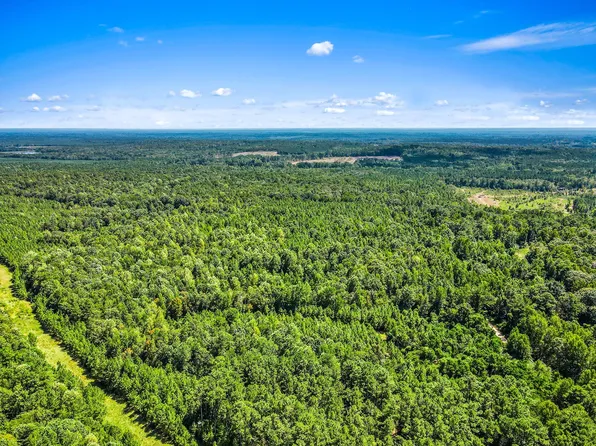 PARCEL 3 Runnels Rd, Hazlehurst, MS 39083