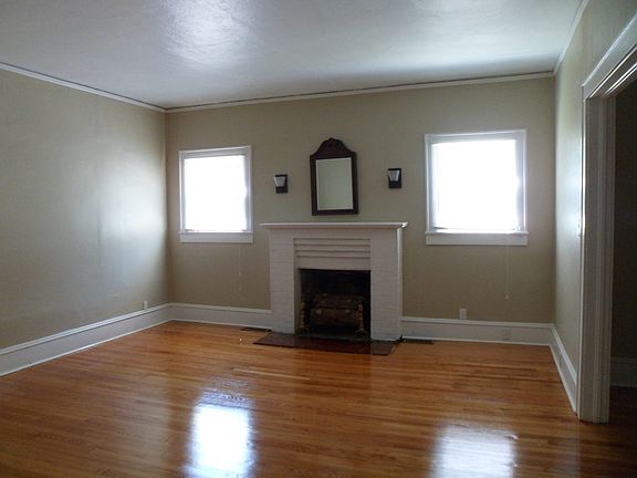 wood burning fireplace