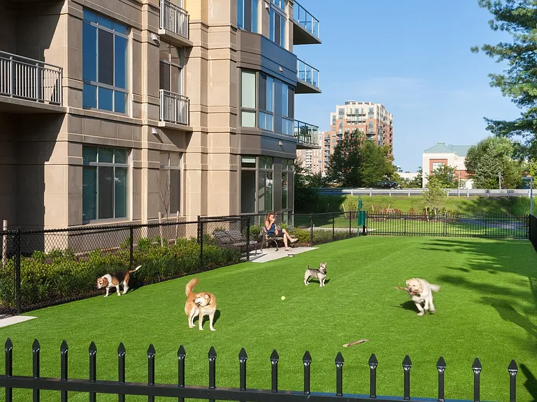 Lots of Room for Your 4-Legged Friend to Run Around Our Dog Park