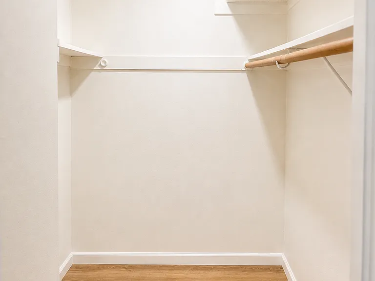 Walk in closet 1