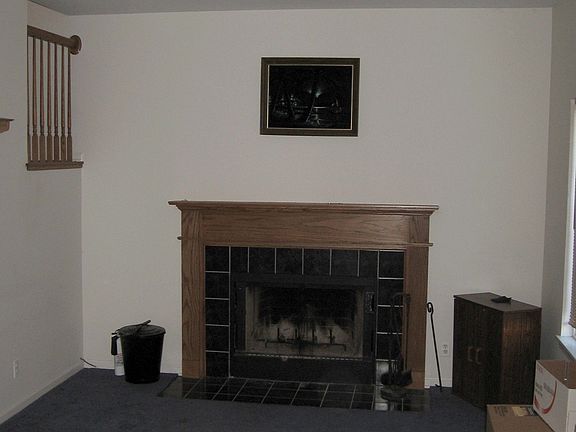 Fireplace in Family Room