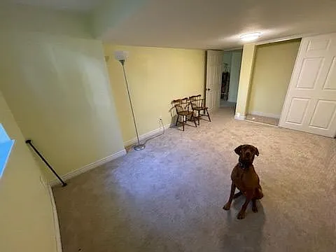 3 bed, 1800 sqft, $1,200 — Photo 3