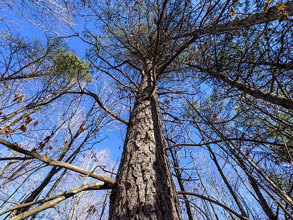 4th image of Wright Rd