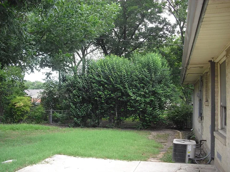 Back Yard Patio